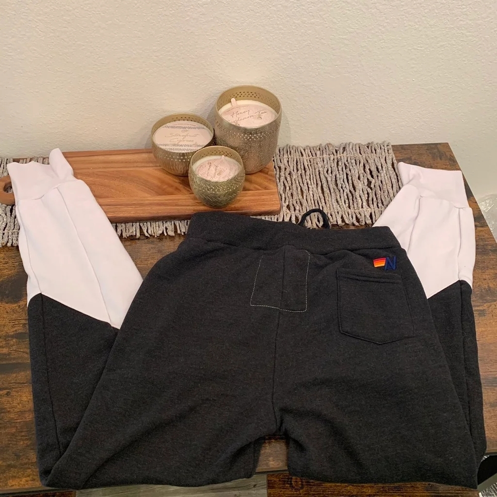 RARE Aviator Nation Glider Joggers L